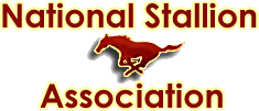 NaStA Logo